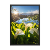 Affiche de La Réunion Arums du Piton de l'Eau au Crépuscule 50 × 70 cm / Noir - photographie Franck Grondin