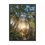 Affiche de La Réunion Forêt de Vacoas 50 × 70 cm / Noir - photographie Franck Grondin