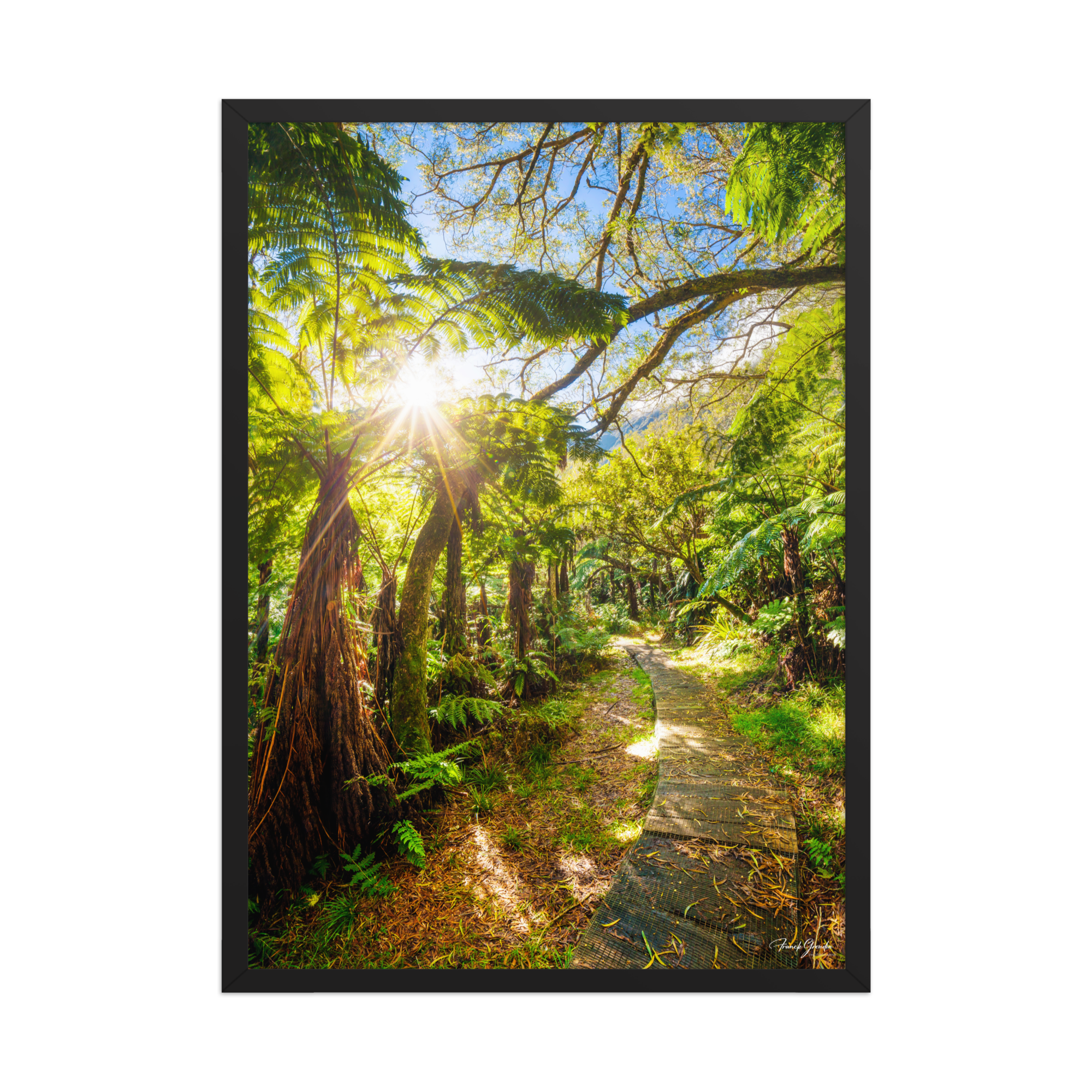 Affiche de La Réunion Le Chemin du Trou de Fer 50 × 70 cm / Noir - photographie Franck Grondin