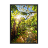 Affiche de La Réunion Le Chemin du Trou de Fer 50 × 70 cm / Noir - photographie Franck Grondin