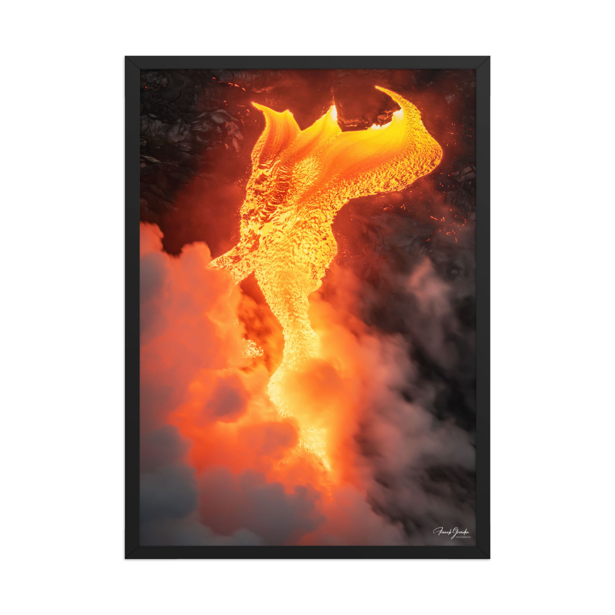 Affiche de La Réunion Robe de Feu, Février 2026 50 × 70 cm / Noir - photographie Franck Grondin