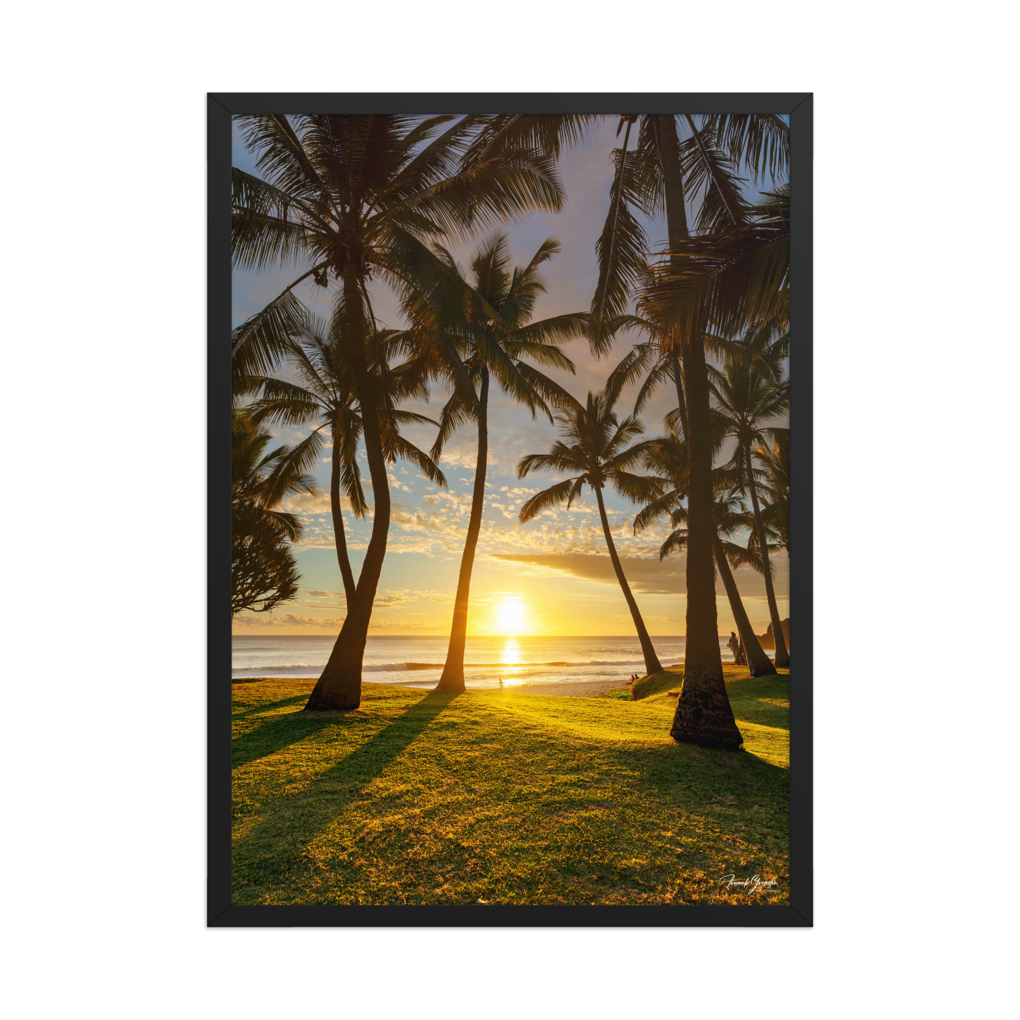 Affiche de La Réunion Cocotiers de Grande Anse 50 × 70 cm / Noir - photographie Franck Grondin