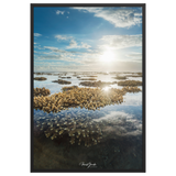 Affiche de La Réunion Le Récif 61 × 91 cm / Noir - Univile La Réunion