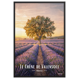 Affiche de Provence Le Chêne de Valensole 61 × 91 cm / Noir - Univile Provence