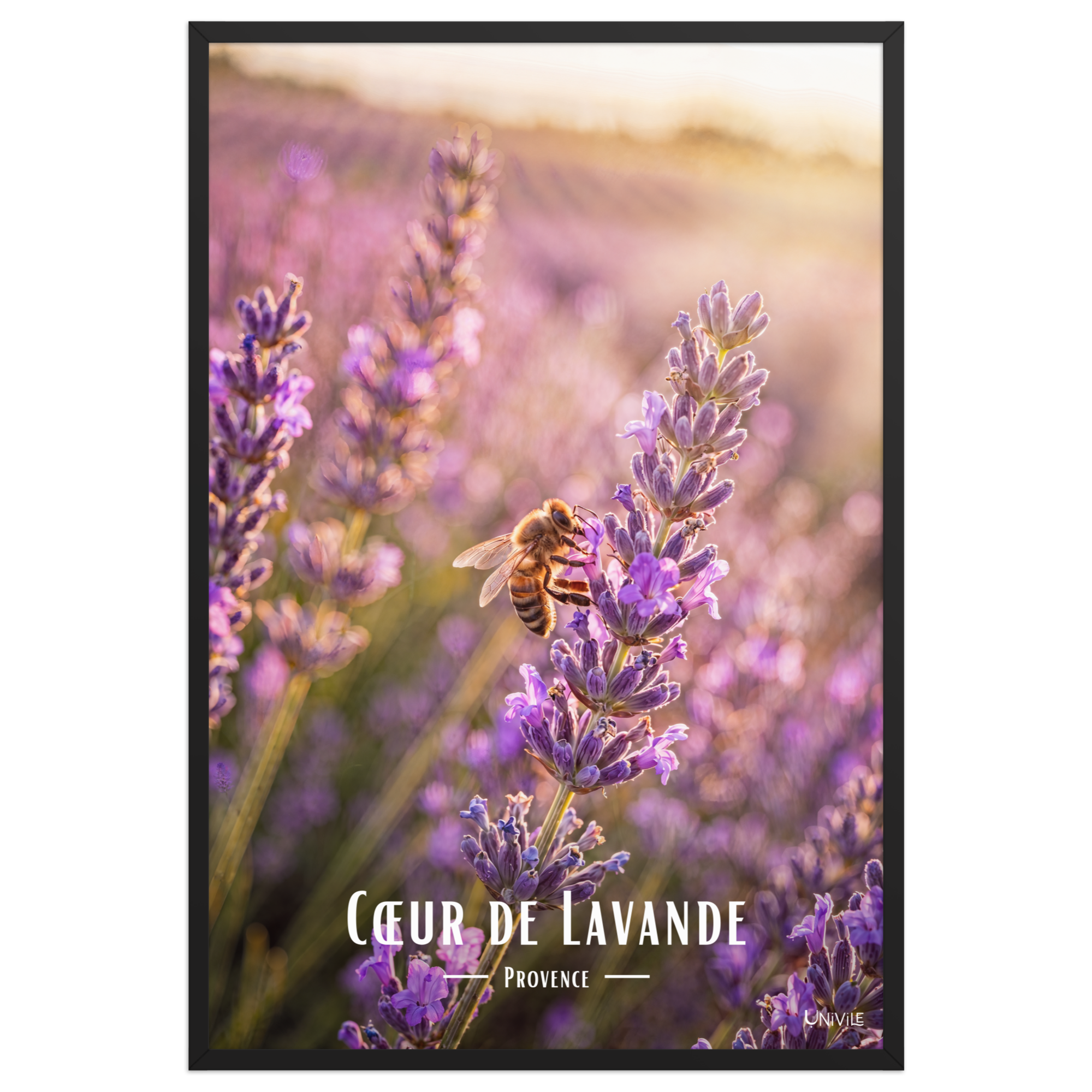 Affiche de Provence Cœur de Lavande 61 × 91 cm / Noir - Univile Provence