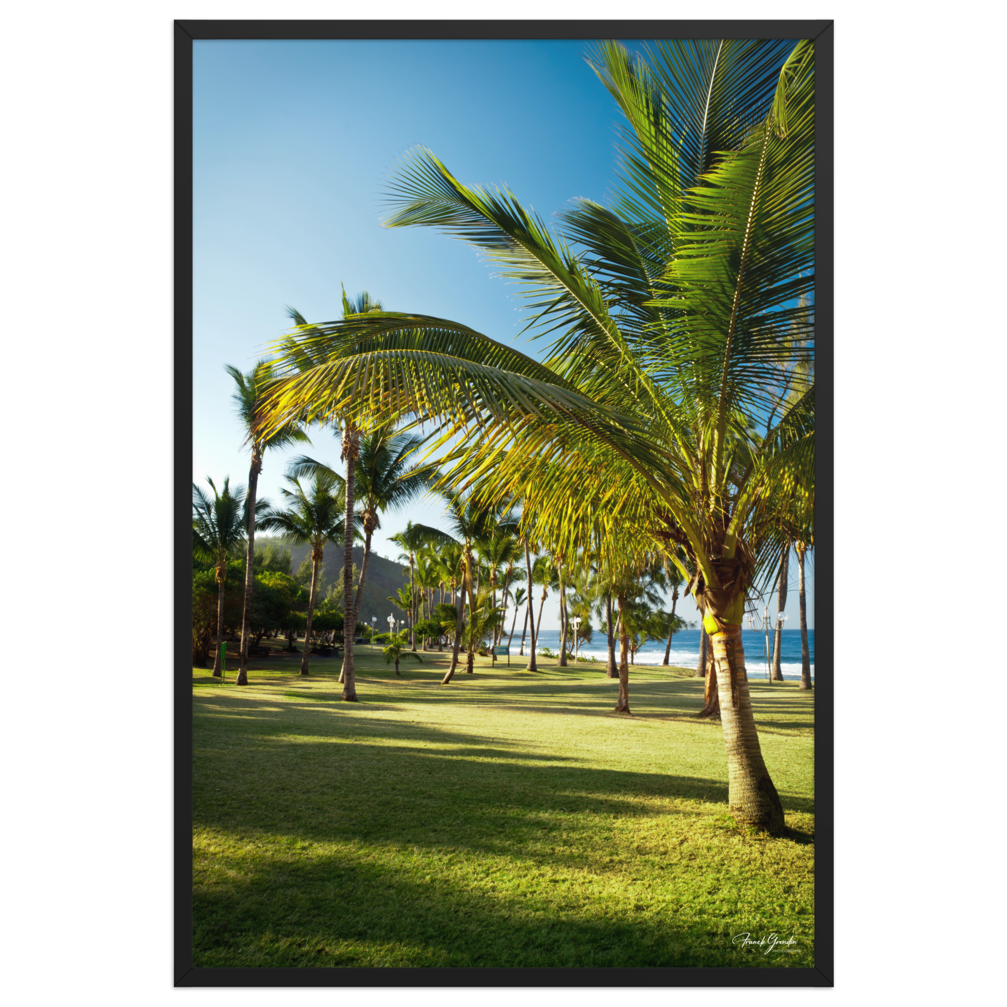 Affiche de La Réunion Palmier de Grande Anse 61 × 91 cm / Noir - photographie Franck Grondin