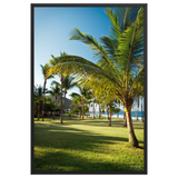 Affiche de La Réunion Palmier de Grande Anse 61 × 91 cm / Noir - photographie Franck Grondin