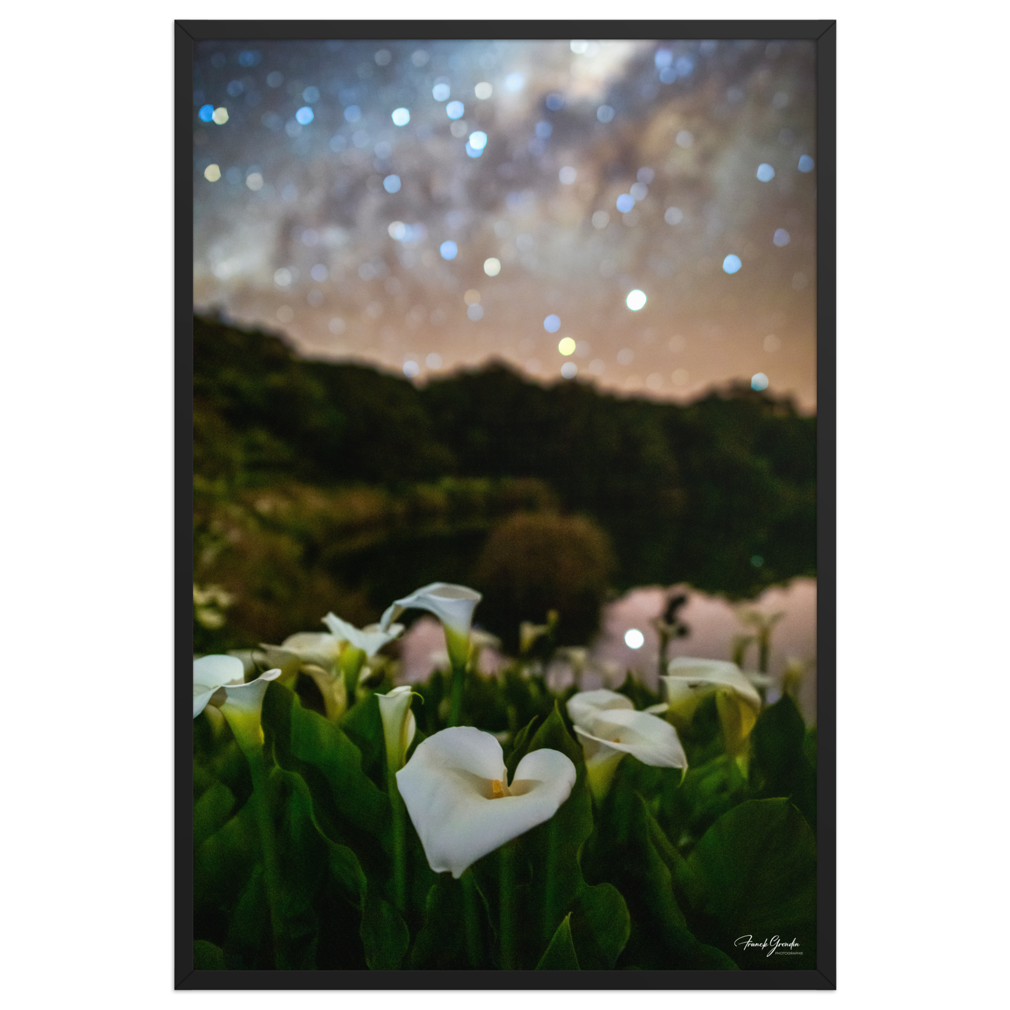 Affiche de La Réunion Arums du Piton de l'Eau 61 × 91 cm / Noir - photographie Franck Grondin