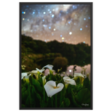 Affiche de La Réunion Arums du Piton de l'Eau 61 × 91 cm / Noir - photographie Franck Grondin