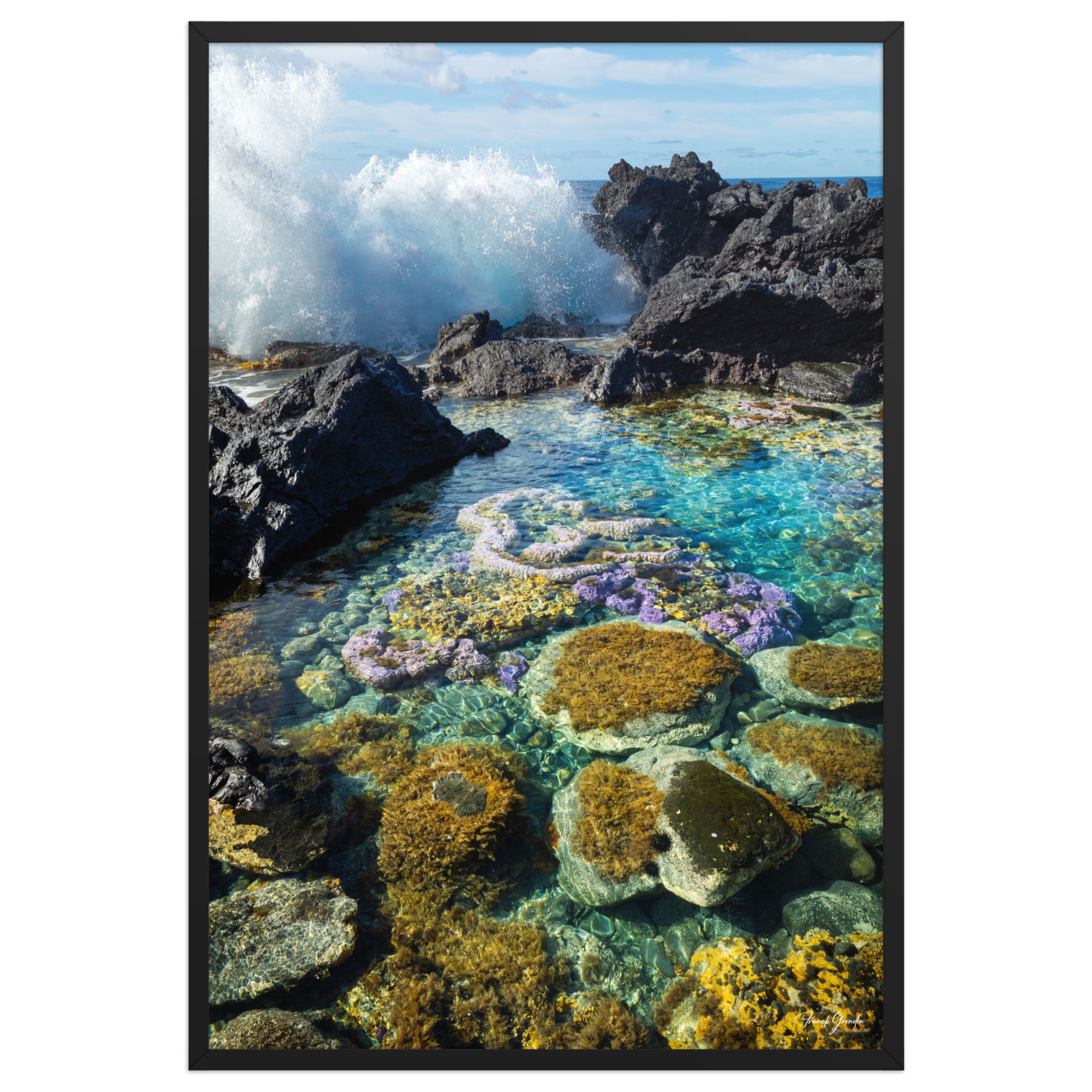 Affiche de La Réunion Coraux de Langevin 61 × 91 cm / Noir - photographie Franck Grondin