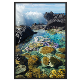 Affiche de La Réunion Coraux de Langevin 61 × 91 cm / Noir - photographie Franck Grondin