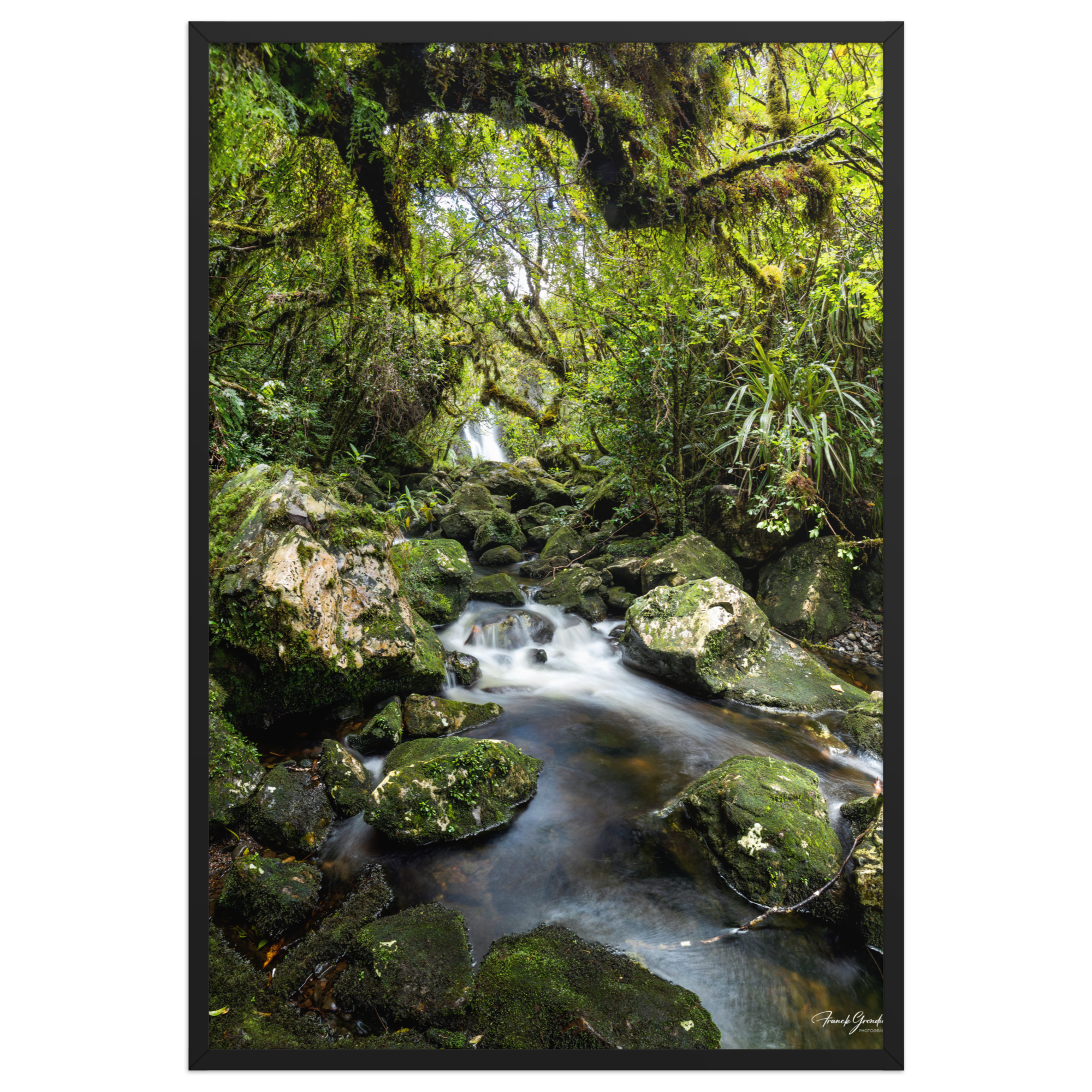 Affiche de La Réunion Forêt du Bras des Lianes 61 × 91 cm / Noir - photographie Franck Grondin
