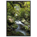 Affiche de La Réunion Forêt du Bras des Lianes 61 × 91 cm / Noir - photographie Franck Grondin