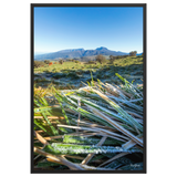 Affiche de La Réunion Givre sur les Hauts du Volcan 61 × 91 cm / Noir - photographie Franck Grondin