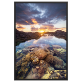 Affiche de La Réunion Coraux de la Souris Blanche 61 × 91 cm / Noir - photographie Franck Grondin