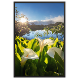 Affiche de La Réunion Arums du Piton de l'Eau au Crépuscule 61 × 91 cm / Noir - photographie Franck Grondin