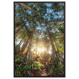 Affiche de La Réunion Forêt de Vacoas 61 × 91 cm / Noir - photographie Franck Grondin