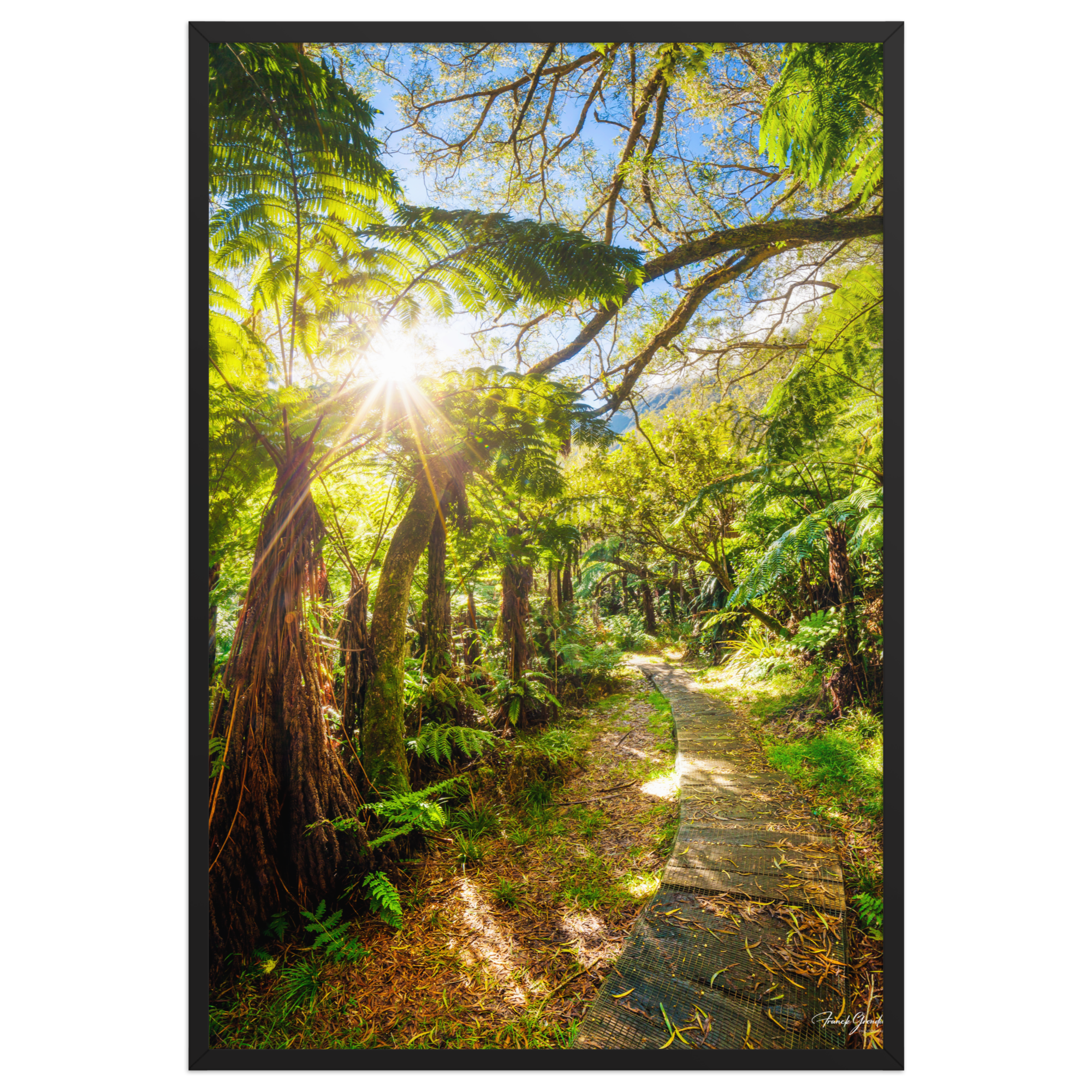 Affiche de La Réunion Le Chemin du Trou de Fer 61 × 91 cm / Noir - photographie Franck Grondin