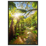 Affiche de La Réunion Le Chemin du Trou de Fer 61 × 91 cm / Noir - photographie Franck Grondin