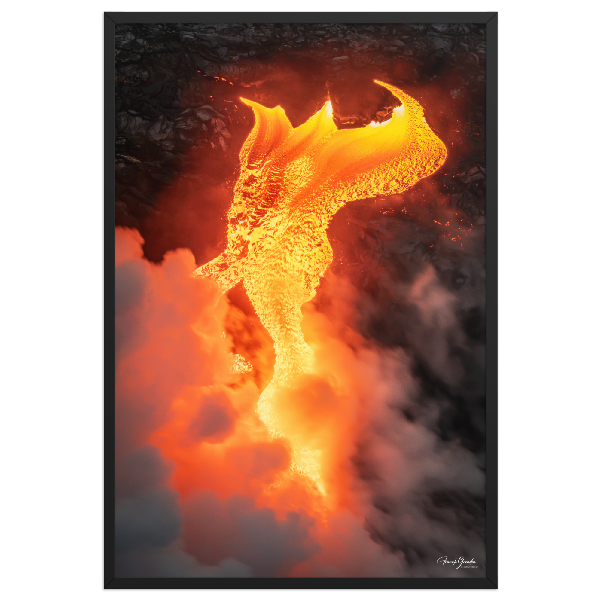 Affiche de La Réunion Robe de Feu, Février 2026 61 × 91 cm / Noir - photographie Franck Grondin