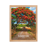 Affiche de la Réunion Flamboyant des champs 30 × 40 cm / Oak - Univile