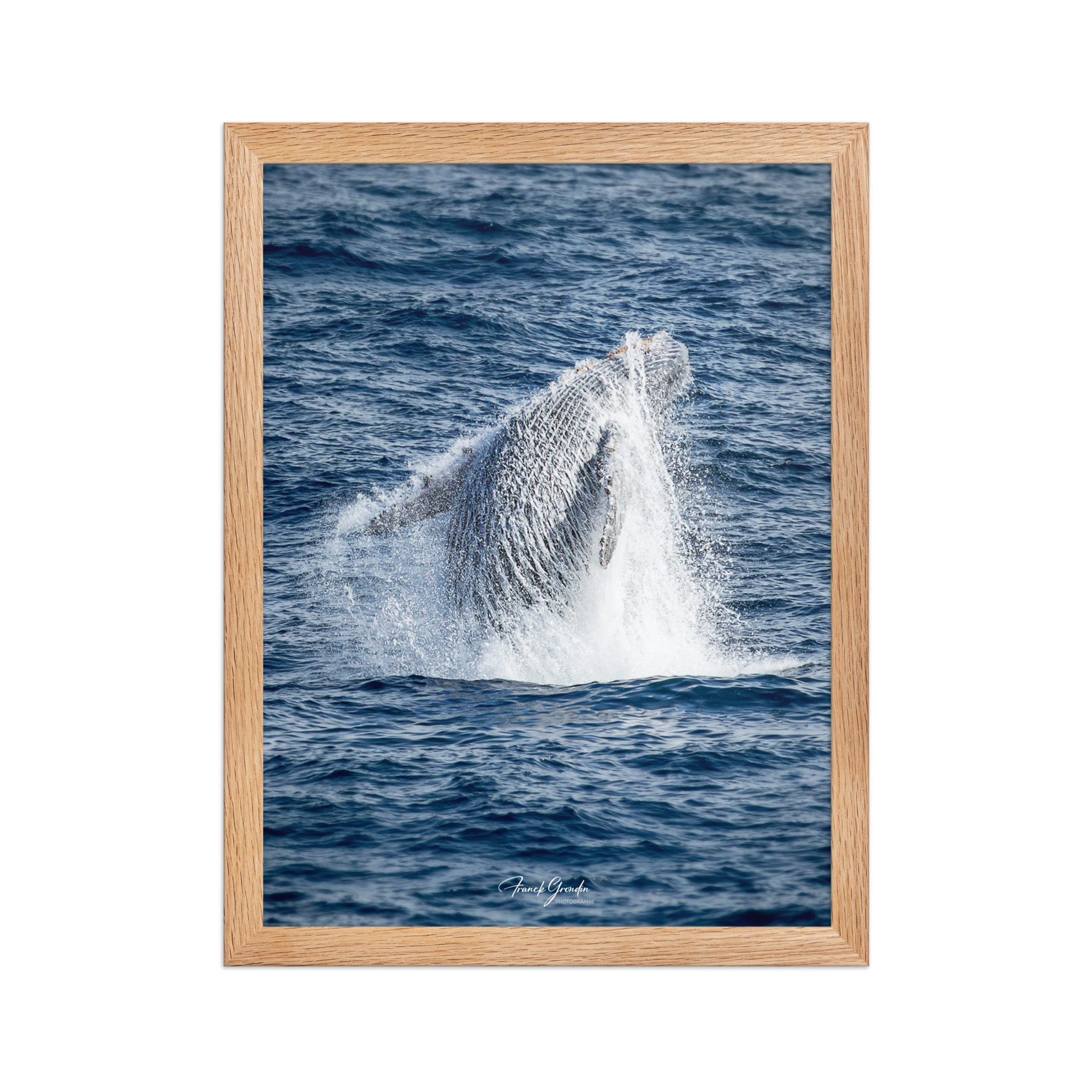 Affiche de La Réunion Baleine 30 × 40 cm / Oak - Univile La Réunion