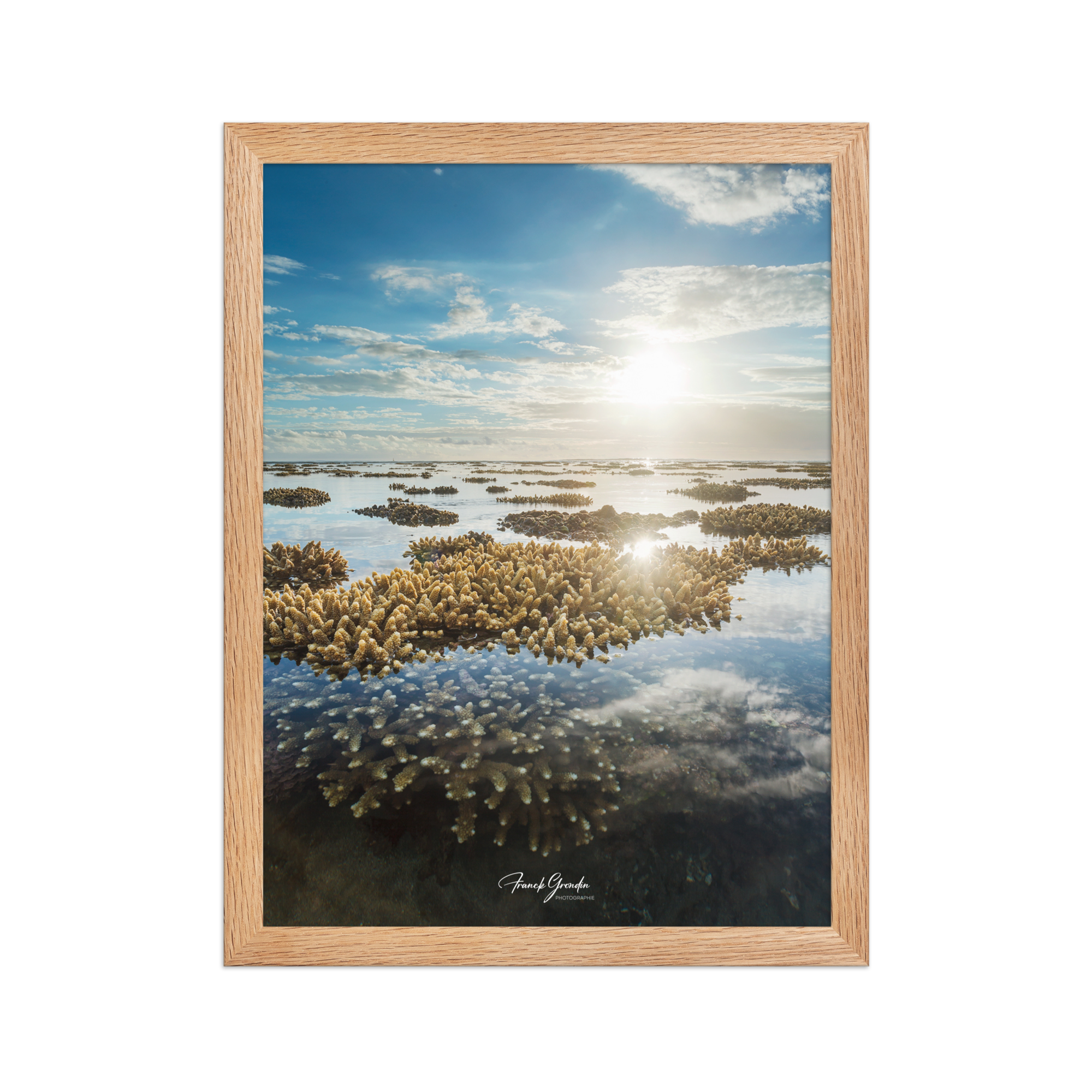Affiche de La Réunion Le Récif 30 × 40 cm / Oak - Univile La Réunion