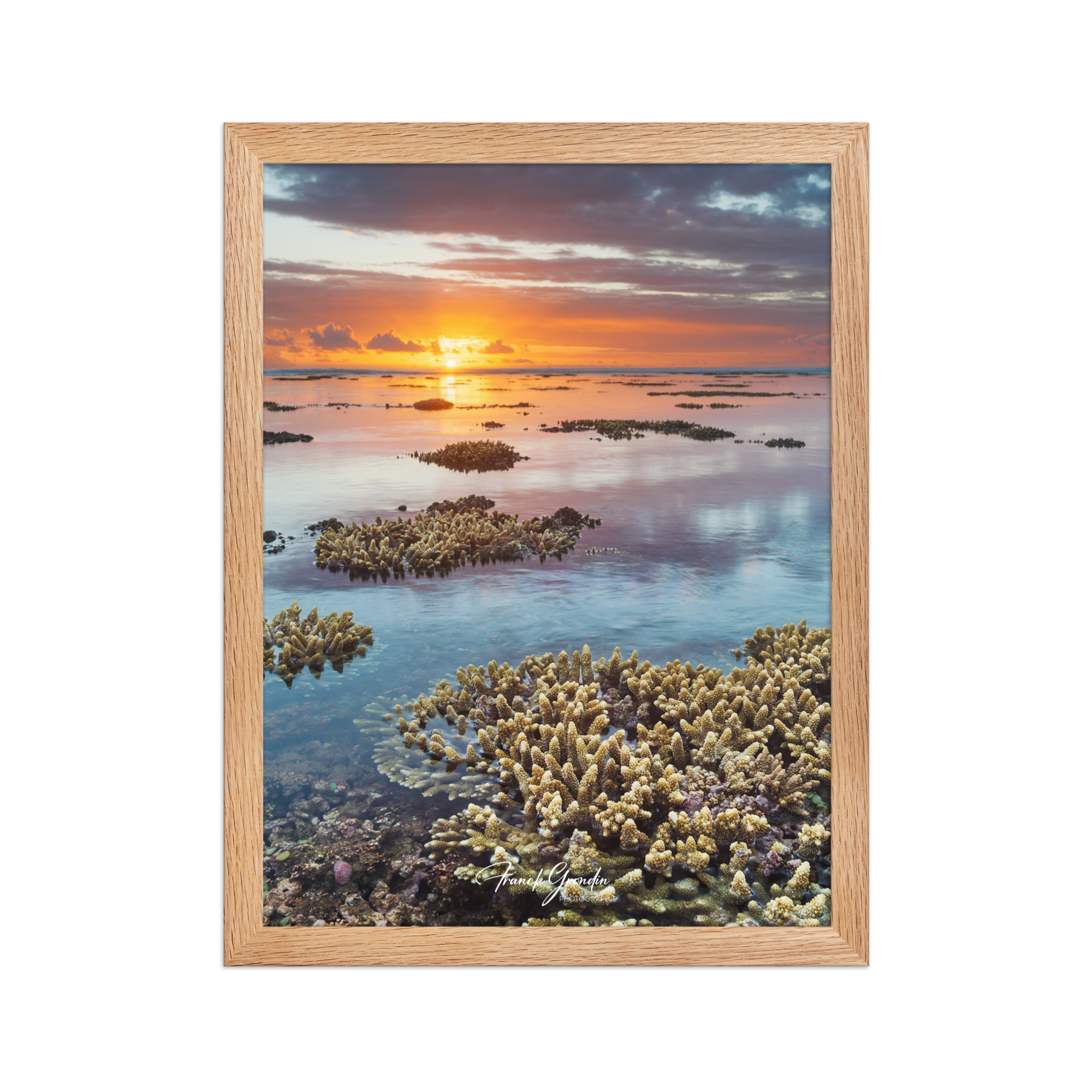 Affiche de La Réunion Sunset du récif 30 × 40 cm / Oak - Univile La Réunion
