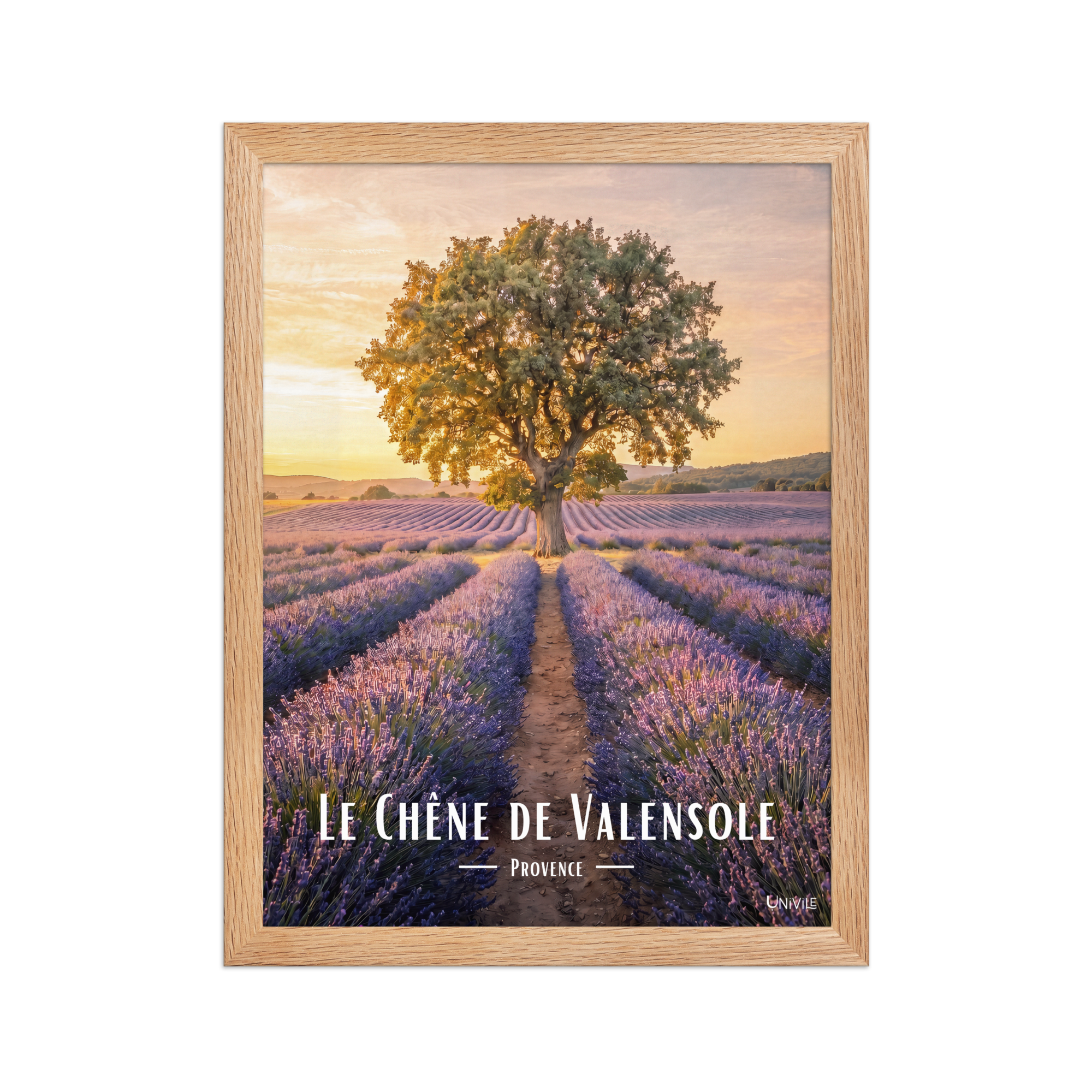 Affiche de Provence Le Chêne de Valensole 30 × 40 cm / Oak - Univile Provence