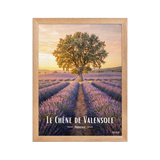 Affiche de Provence Le Chêne de Valensole 30 × 40 cm / Oak - Univile Provence