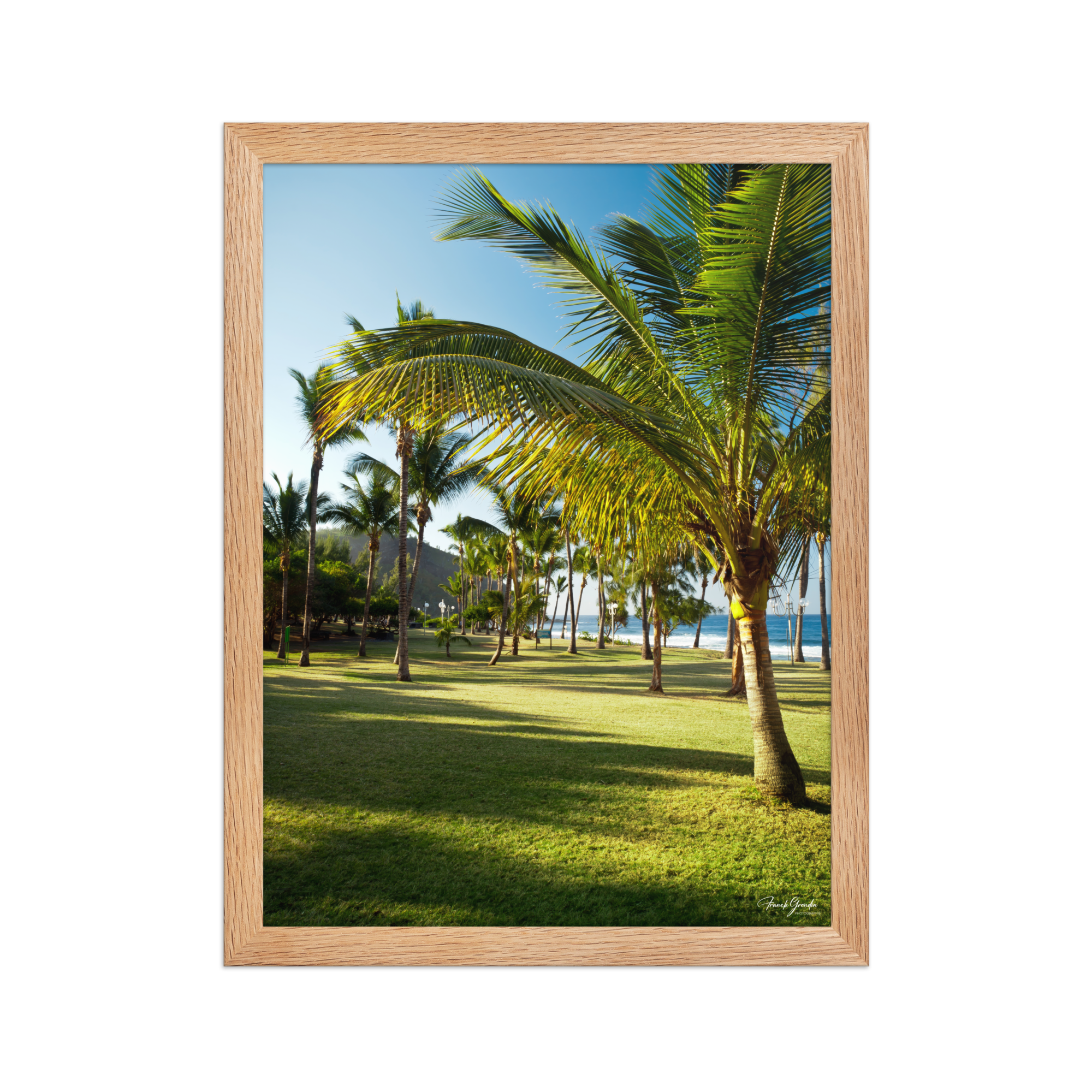 Affiche de La Réunion Palmier de Grande Anse 30 × 40 cm / Oak - photographie Franck Grondin