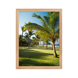 Affiche de La Réunion Palmier de Grande Anse 30 × 40 cm / Oak - photographie Franck Grondin