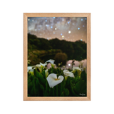 Affiche de La Réunion Arums du Piton de l'Eau 30 × 40 cm / Oak - photographie Franck Grondin