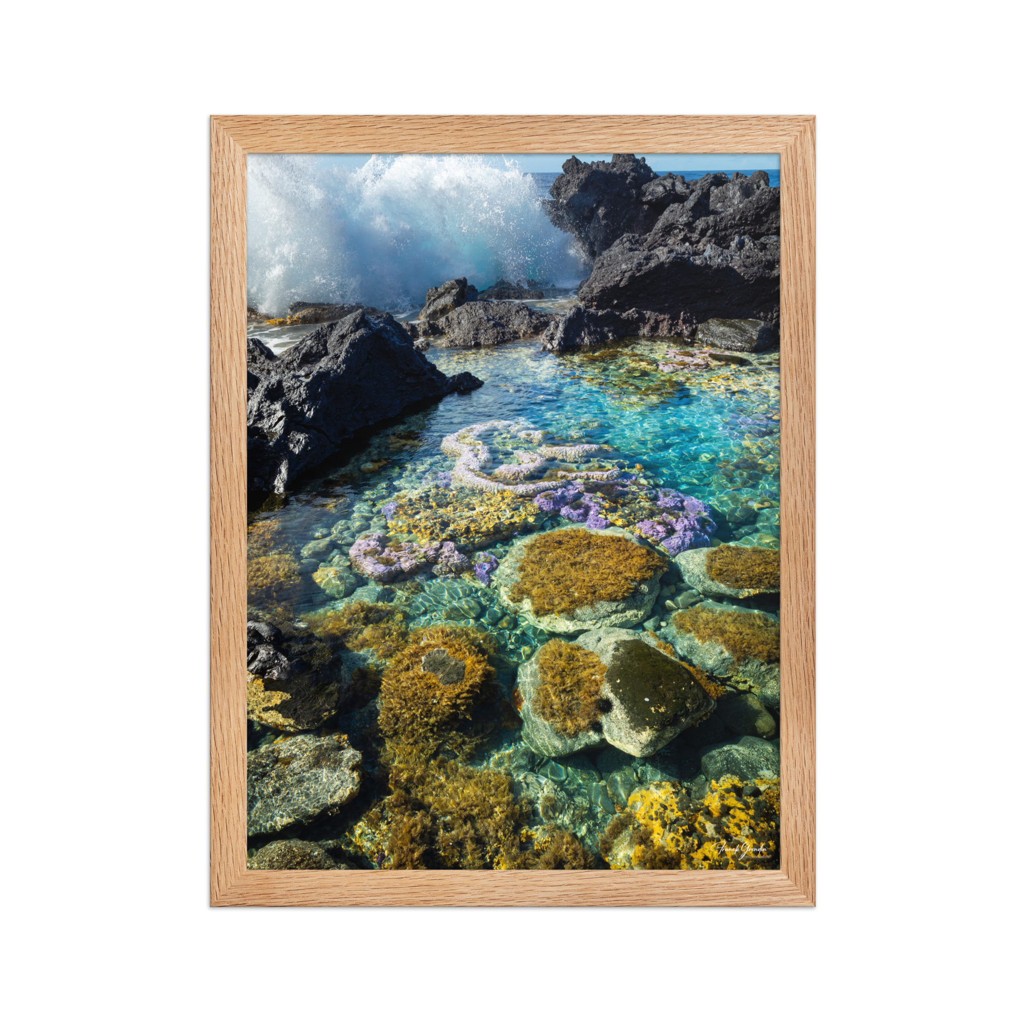 Affiche de La Réunion Coraux de Langevin 30 × 40 cm / Oak - photographie Franck Grondin