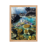 Affiche de La Réunion Coraux de Langevin 30 × 40 cm / Oak - photographie Franck Grondin