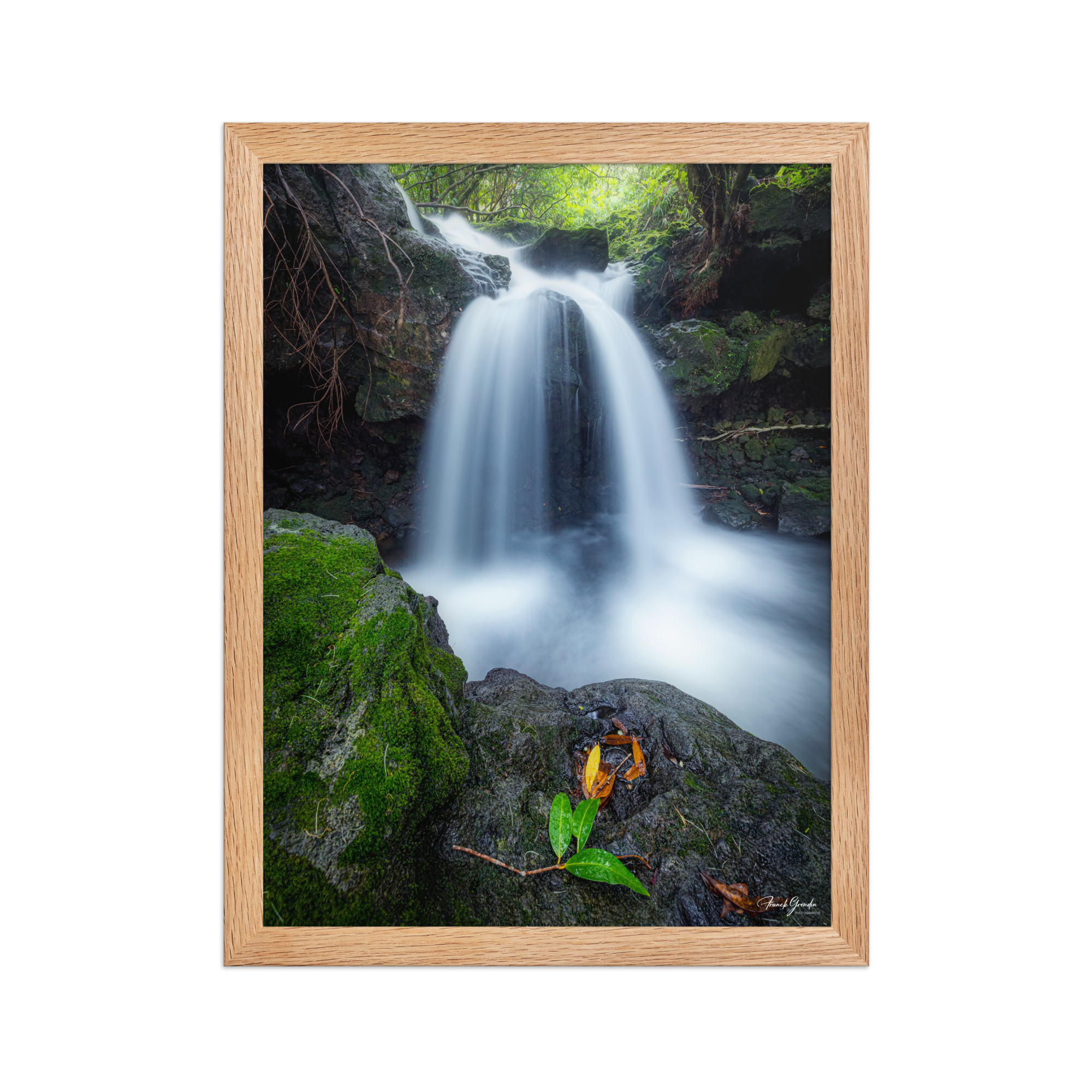 Affiche de La Réunion Cascade du Pont Rouge, Le Tremblet 30 × 40 cm / Oak - photographie Franck Grondin