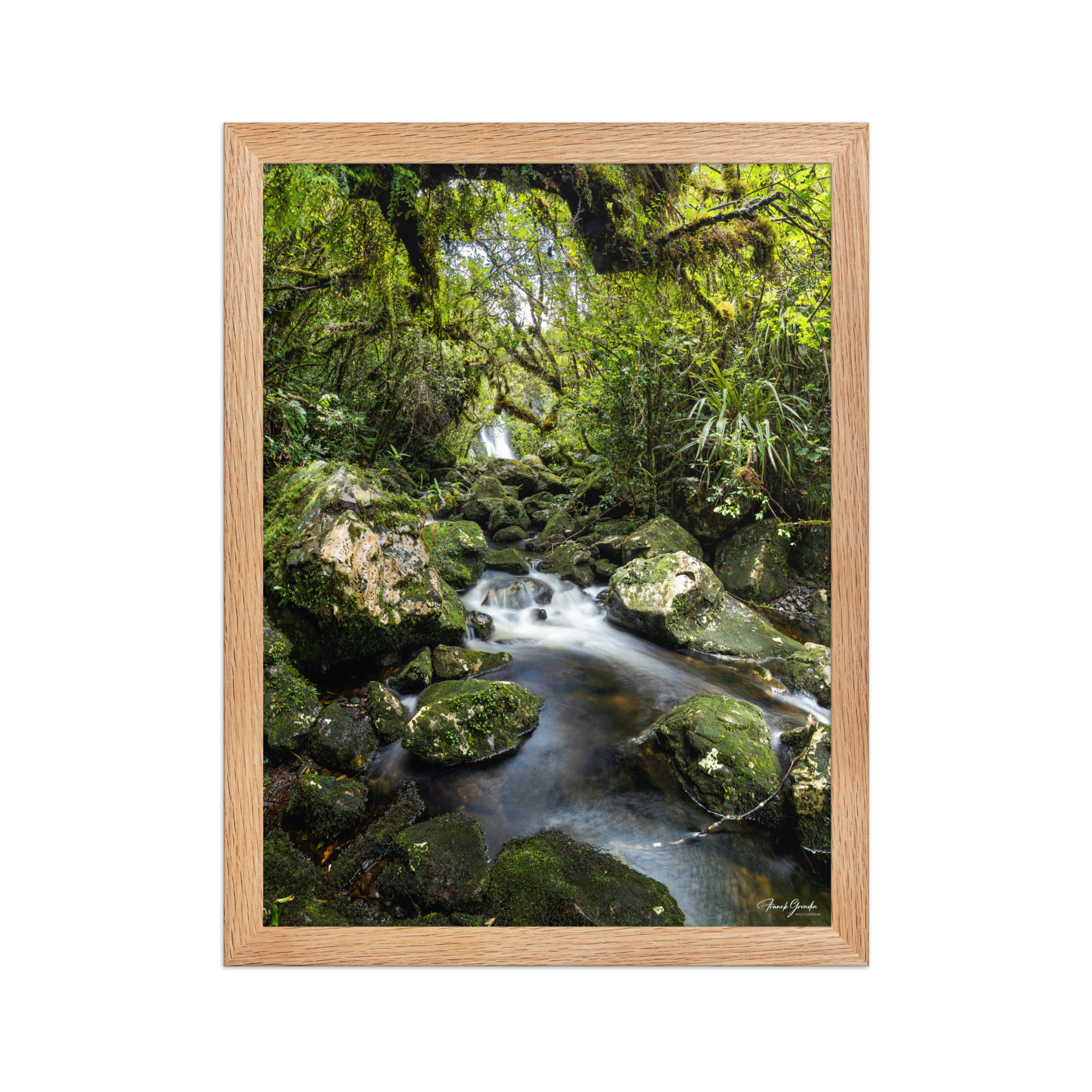 Affiche de La Réunion Forêt du Bras des Lianes 30 × 40 cm / Oak - photographie Franck Grondin