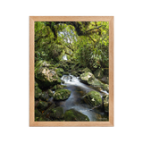 Affiche de La Réunion Forêt du Bras des Lianes 30 × 40 cm / Oak - photographie Franck Grondin