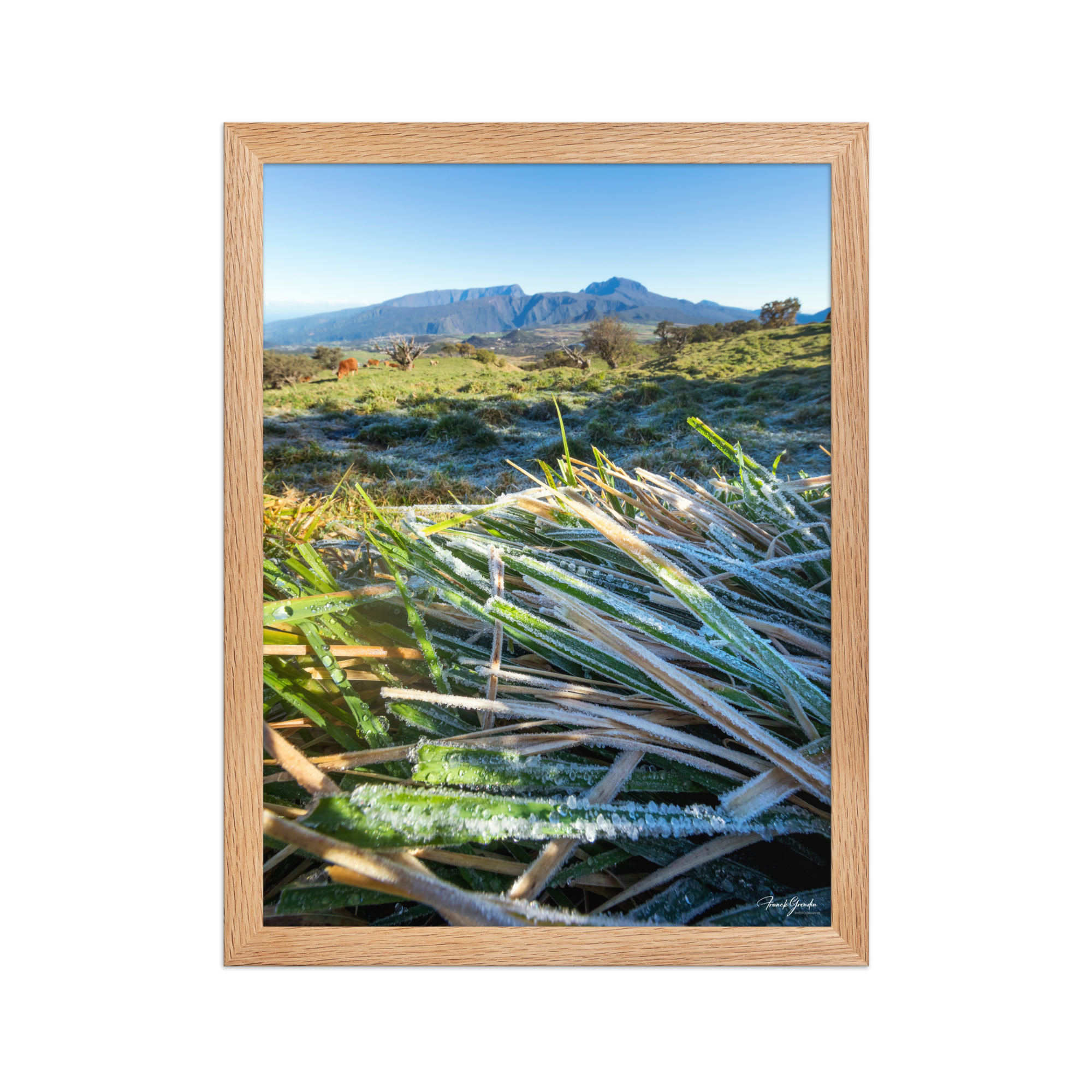Affiche de La Réunion Givre sur les Hauts du Volcan 30 × 40 cm / Oak - photographie Franck Grondin