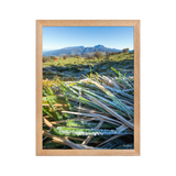 Affiche de La Réunion Givre sur les Hauts du Volcan 30 × 40 cm / Oak - photographie Franck Grondin