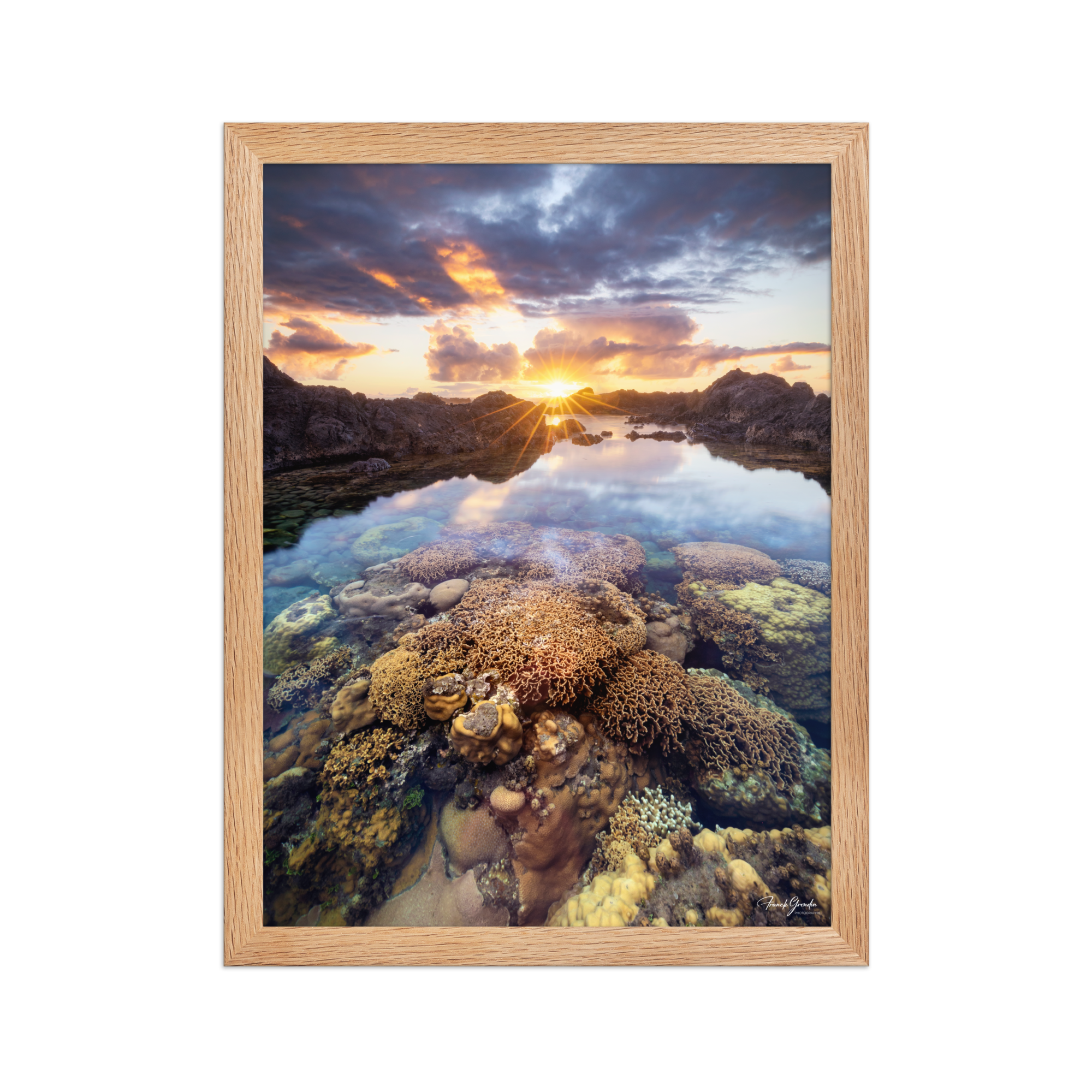 Affiche de La Réunion Coraux de la Souris Blanche 30 × 40 cm / Oak - photographie Franck Grondin