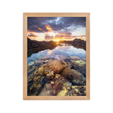 Affiche de La Réunion Coraux de la Souris Blanche 30 × 40 cm / Oak - photographie Franck Grondin