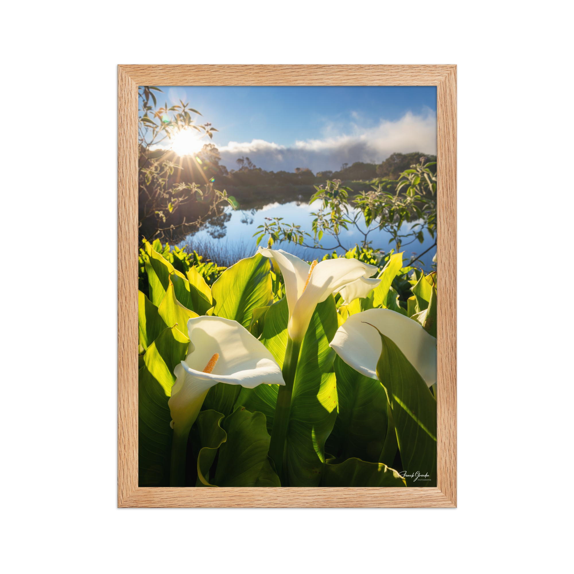 Affiche de La Réunion Arums du Piton de l'Eau au Crépuscule 30 × 40 cm / Oak - photographie Franck Grondin