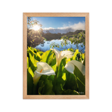 Affiche de La Réunion Arums du Piton de l'Eau au Crépuscule 30 × 40 cm / Oak - photographie Franck Grondin