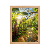 Affiche de La Réunion Le Chemin du Trou de Fer 30 × 40 cm / Oak - photographie Franck Grondin
