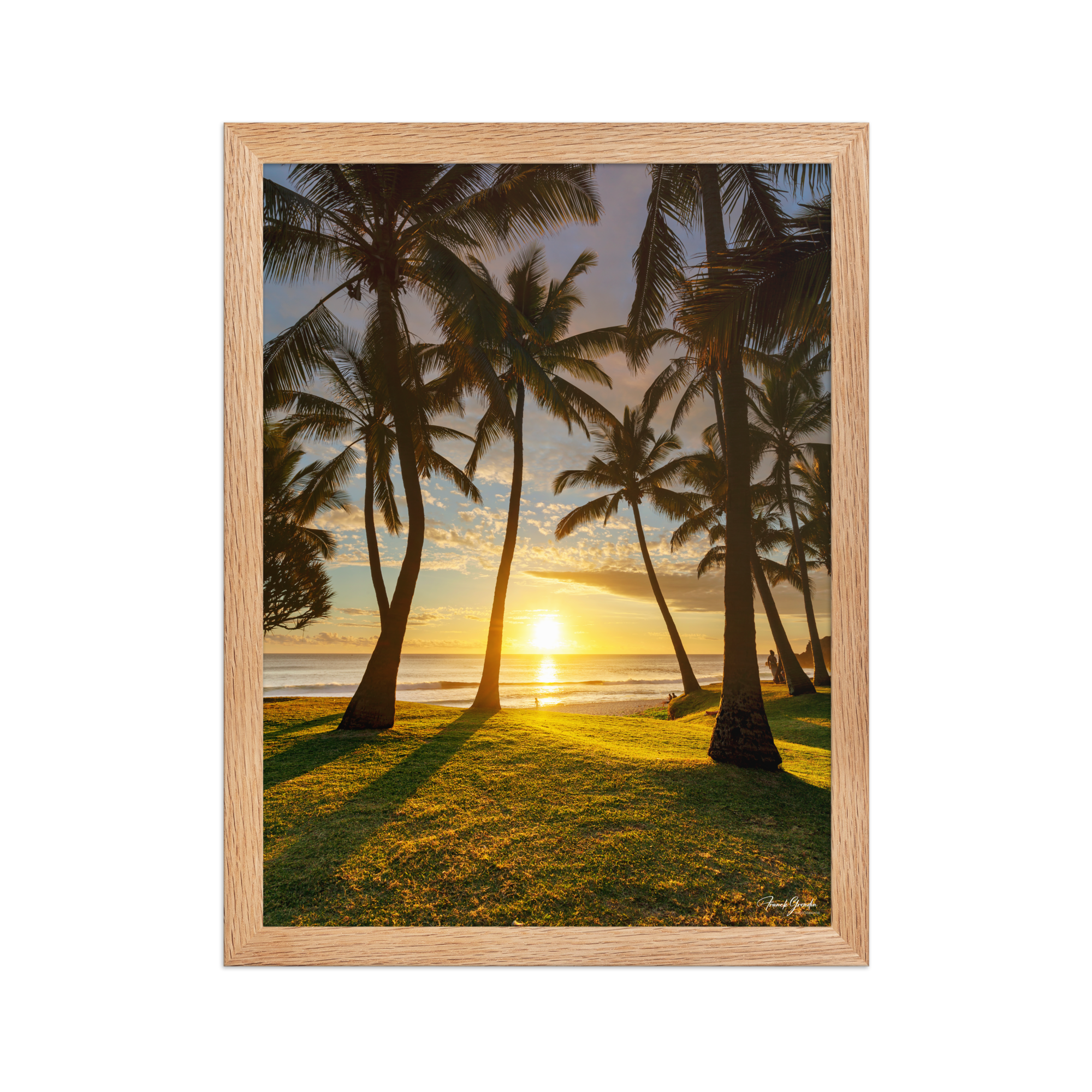 Affiche de La Réunion Cocotiers de Grande Anse 30 × 40 cm / Oak - photographie Franck Grondin