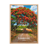 Affiche de la Réunion Flamboyant des champs 50 × 70 cm / Oak - Univile