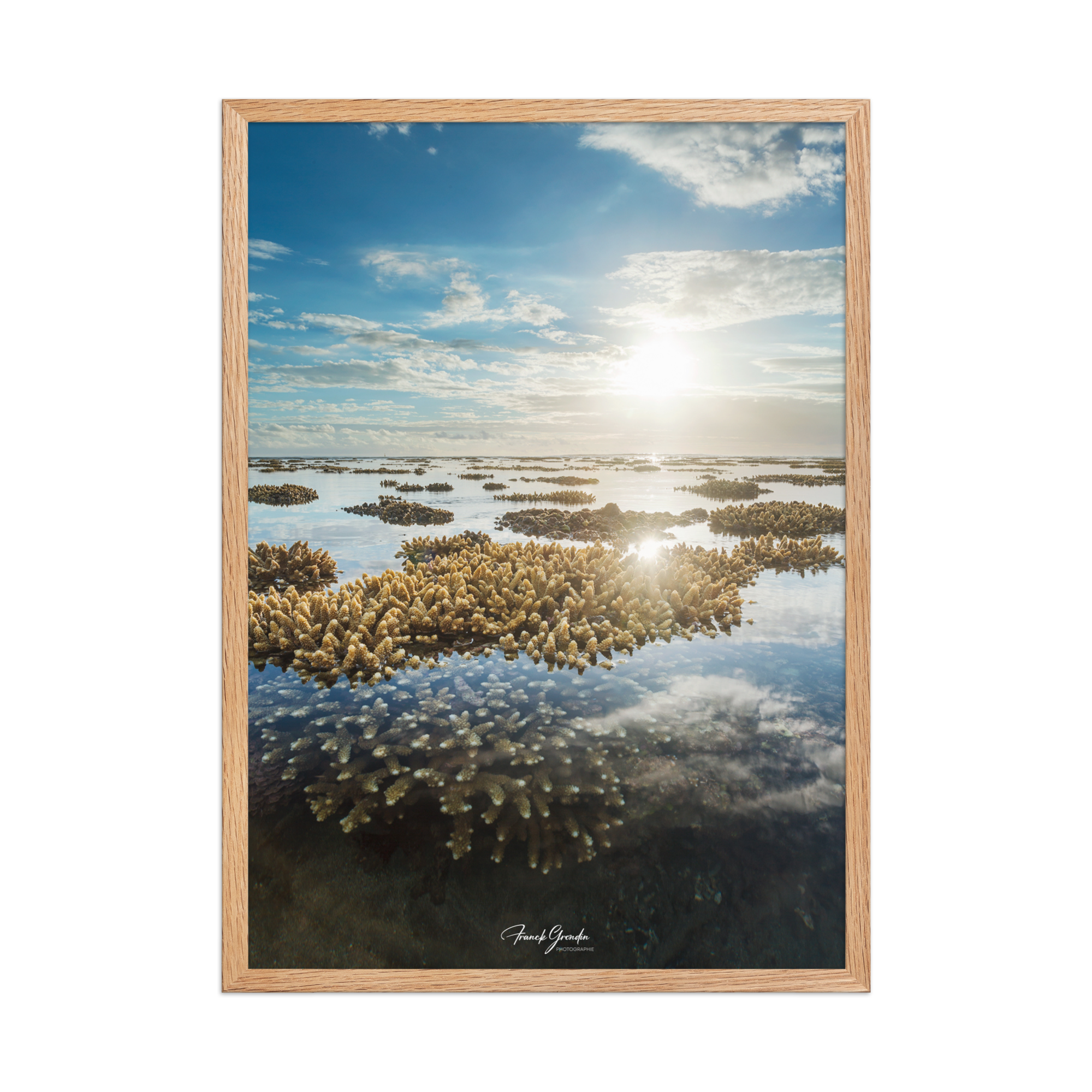 Affiche de La Réunion Le Récif 50 × 70 cm / Oak - Univile La Réunion