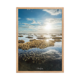 Affiche de La Réunion Le Récif 50 × 70 cm / Oak - Univile La Réunion