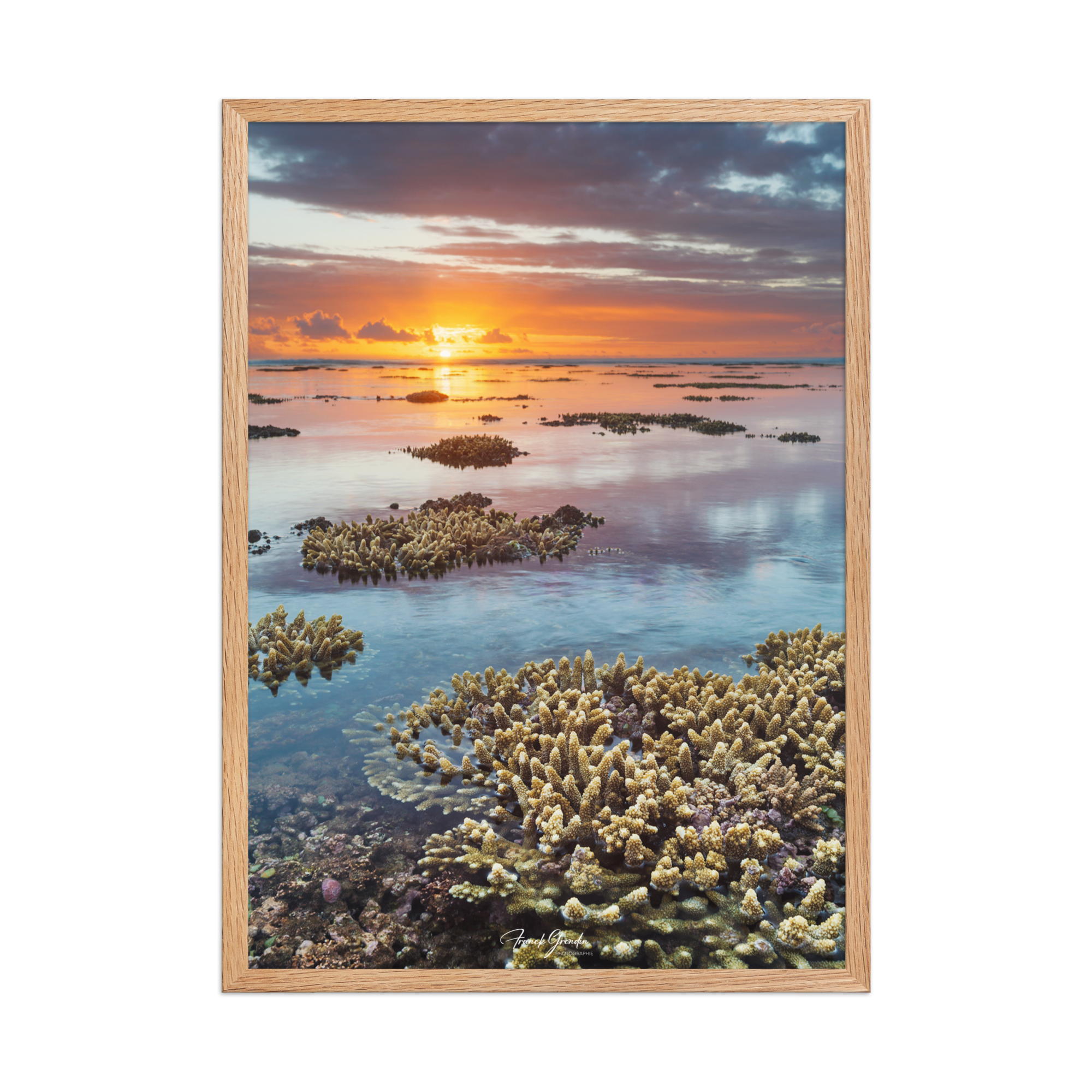 Affiche de La Réunion Sunset du récif 50 × 70 cm / Oak - Univile La Réunion